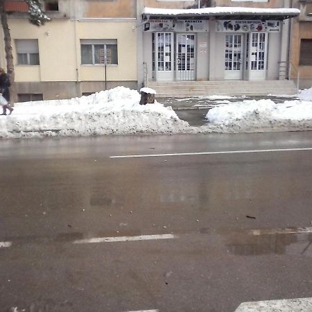 Apartman Veljic Nis Bagian luar foto