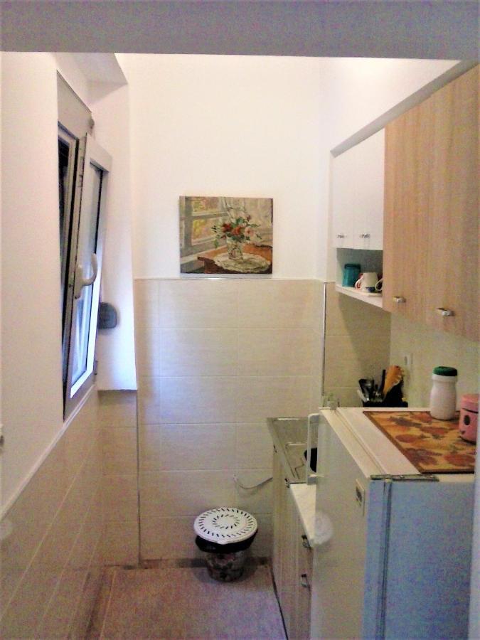 Apartman Veljic Nis Bagian luar foto